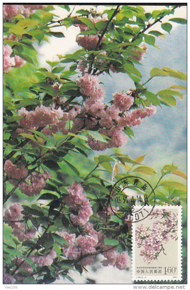 TREES, CHERRY BLOSSOM, CM, MAXICARD, CARTES MAXIMUM, 1991, CHINA - Bäume