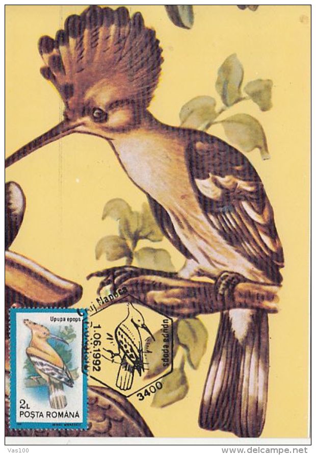 BIRDS, HOOPOE, CM, MAXICARD, CARTES MAXIMUM, 1992, ROMANIA - Piciformes (pájaros Carpinteros)