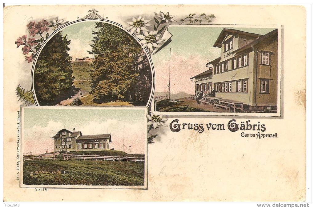 Schweiz, 1903, Gruss Vom Gäbris, Gais Nach Diessenhofen, Siehe Scans! - Gais