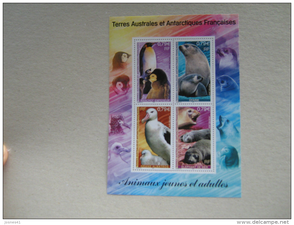 2008  TAAF BF 8 * *   NO YT 344/47    FAUNE ANTARCTIQUE - Blocks & Sheetlets