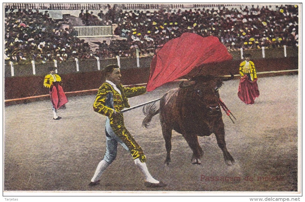 POSTAL DE UNA CORRIDA DE TOROS (TORO-BULL-TORERO) PASE DE MULETA - Corridas