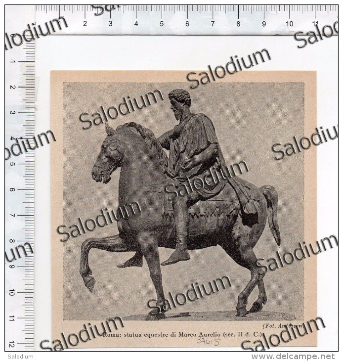 ROMA Statua Marco Aurelio Cavallo Horse  - Immagine Ritagliata Da Pubblicazione Originale D´epoca - Other & Unclassified