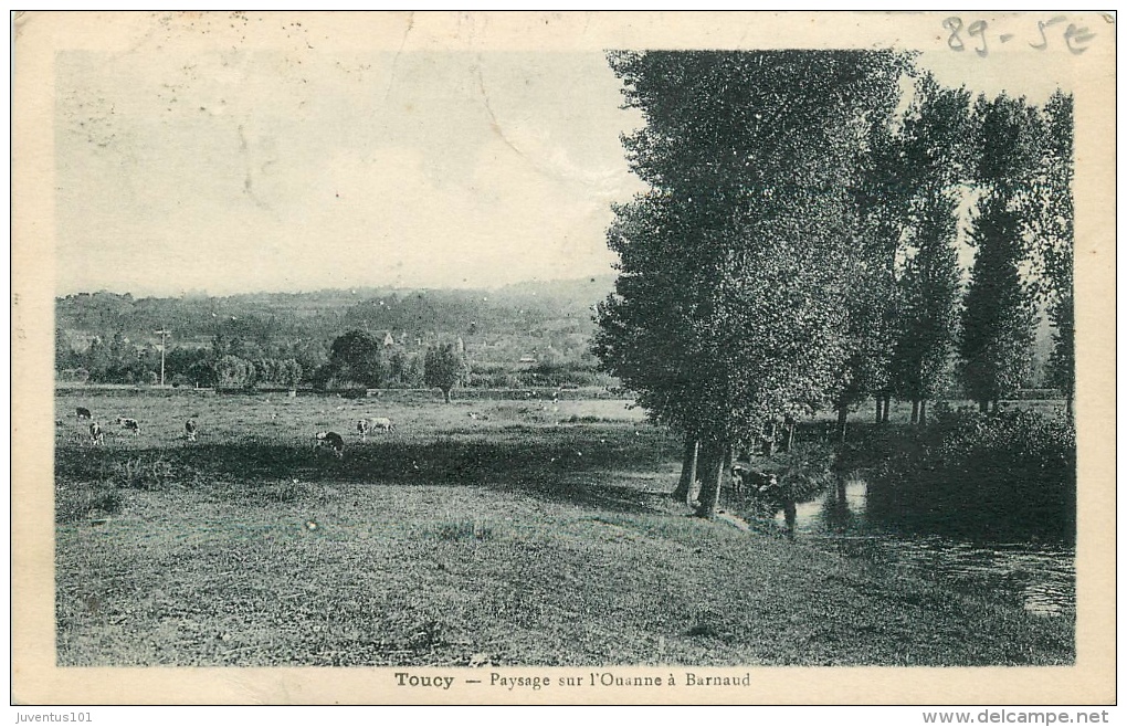 CPA Toucy-Paysage Sur L'Ouate à Barnaud    L2149 - Toucy