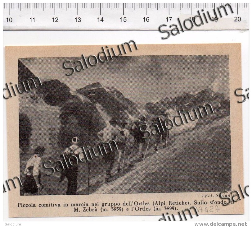 Alpinismo Sport Montagna Ortles Alpi Retiche  - Immagine Ritagliata Da Pubblicazione Originale D´epoca - Altri & Non Classificati