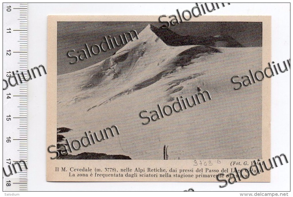 Monte Cevedale Alpi Retiche Passo Lago Gelato Sport Sci Ski  - Immagine Ritagliata Da Pubblicazione Originale D´epoca - Altri & Non Classificati