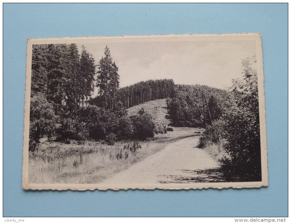 Vallée Du Franckenbach MANDERFELD () Anno 1956 ( Zie Foto Voor Details ) !! - Büllingen