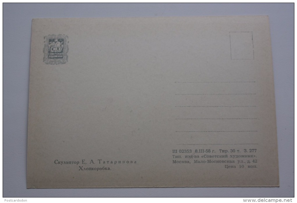 "Cotton Flower" By Tatarinova  - Old Rare USSR Postcard 1958- Tajikistan - Tayijistán