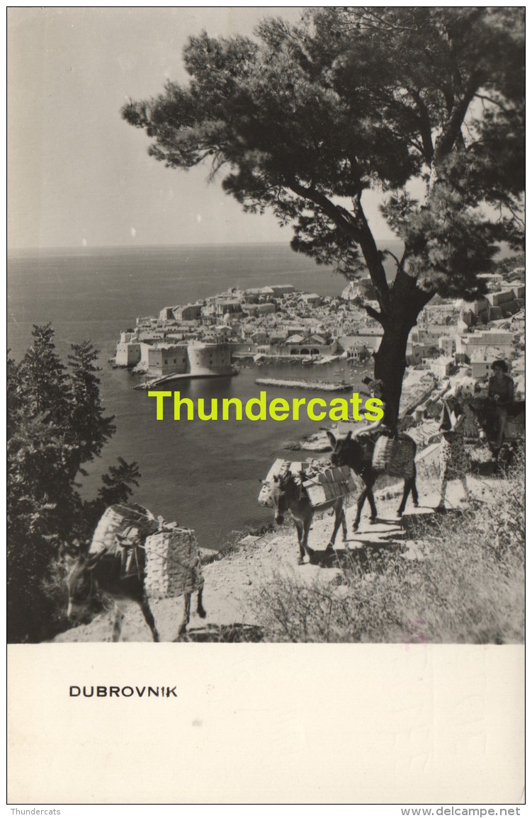 CPSM PHOTO FOTO DUBROVNIK - Yugoslavia