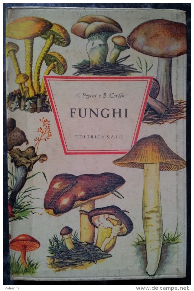 M#0R19 Peyrot - Cortin FUNGHI Ed.S.A.I.E. 1966/Illustrazioni Edgar Hahnewald - Giardinaggio