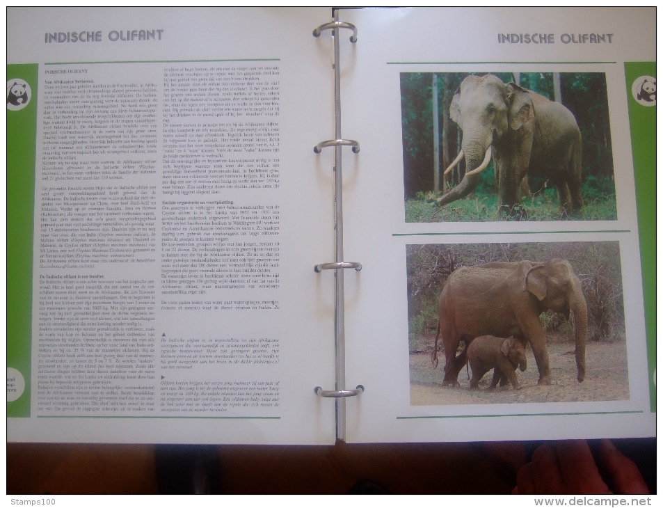 WWF. 1986 - 1988   OMNIBUS IN ALBUM +CASETTE  STAMPS  MNH**  +  FDC   see photo´s  (dutch language)