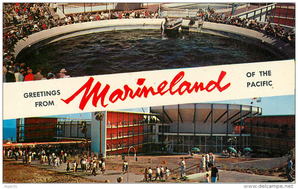 Etats-Unis - California - Los Angeles - Greetings From Marineland Of The Pacific - état - Los Angeles