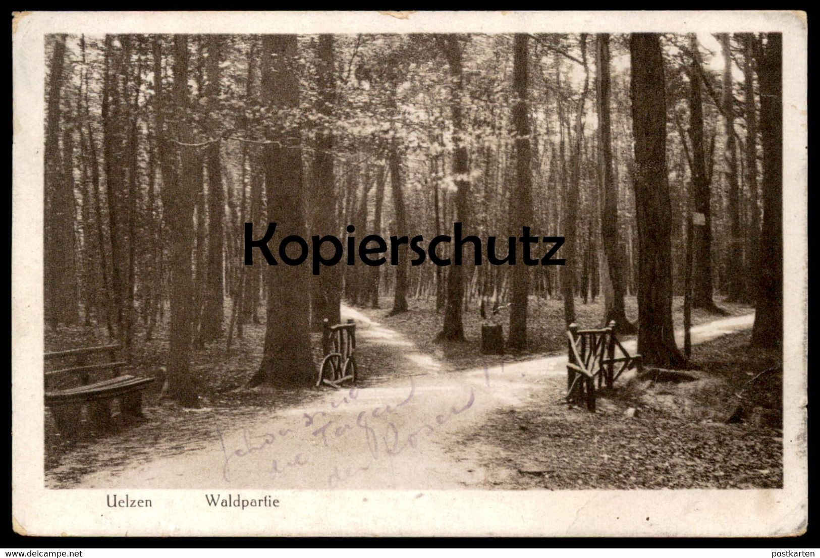 ALTE POSTKARTE UELZEN WALDPARTIE Wald Bäume Holz Forest Ansichtskarte Postcard AK Cpa - Uelzen