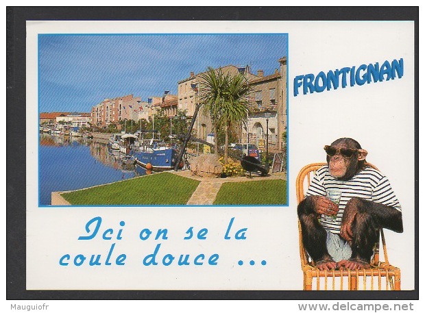 DF / 34  HERAULT / FRONTIGNAN / ICI ON SE LA COULE DOUCE ... LE PORT / CHIMPANZE - Frontignan