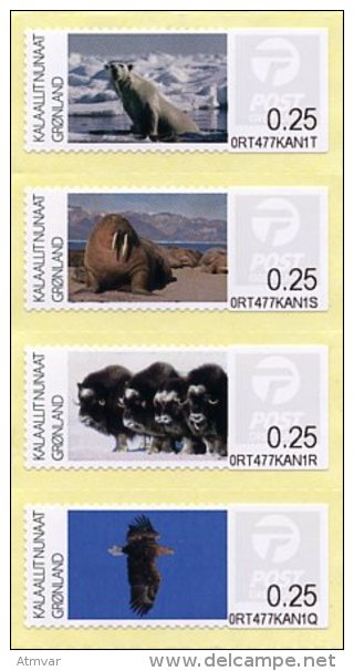 GREENLAND (2011) - Fauna - ATM - Ours / Polar Bear, Walrus / Morse, Muskox / Boeuf Musqué, White-tailed Eagle / Aigle - Machine Stamps