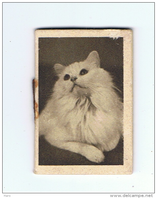 Petit Calendrier 1941 (+/- 3,5 X 5,5 Cm) Chat (Fr38) - Petit Format : 1941-60