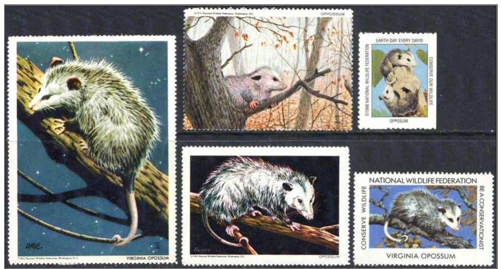 Etats Unis, USA. Opossum. 5 Timbres / Vignettes, National Wildlife Fed. - Autres & Non Classés