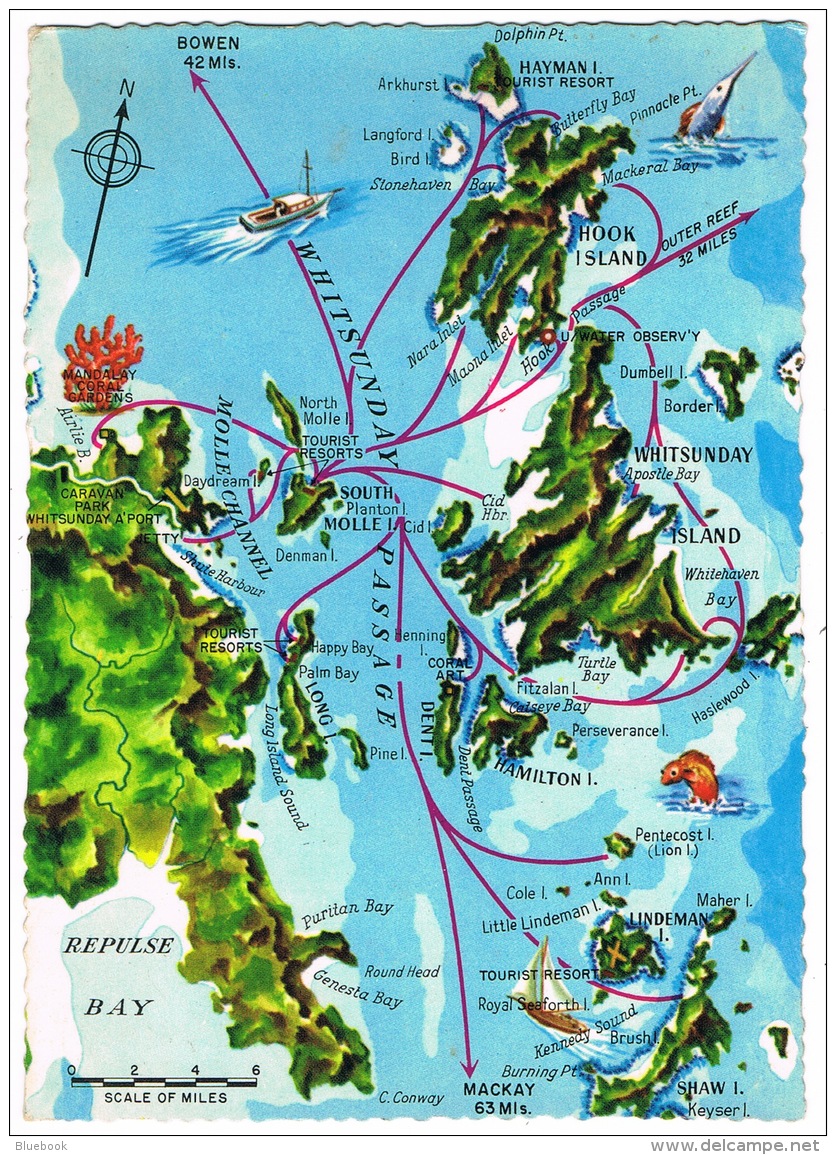 RB 1106 - 1992 Map Postcard - Whitsunday Passage Queensland Australia - Ferry Boat Routes - Mackay / Whitsundays