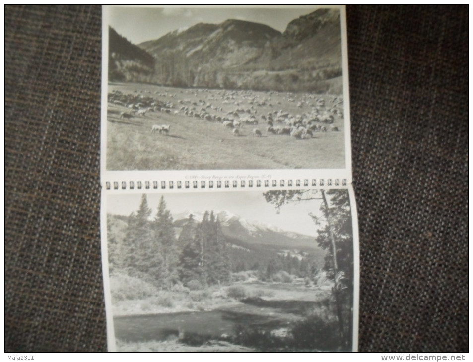 ANCIEN RECUEIL / PICTURESQUE COLORADO / DENVER 1949