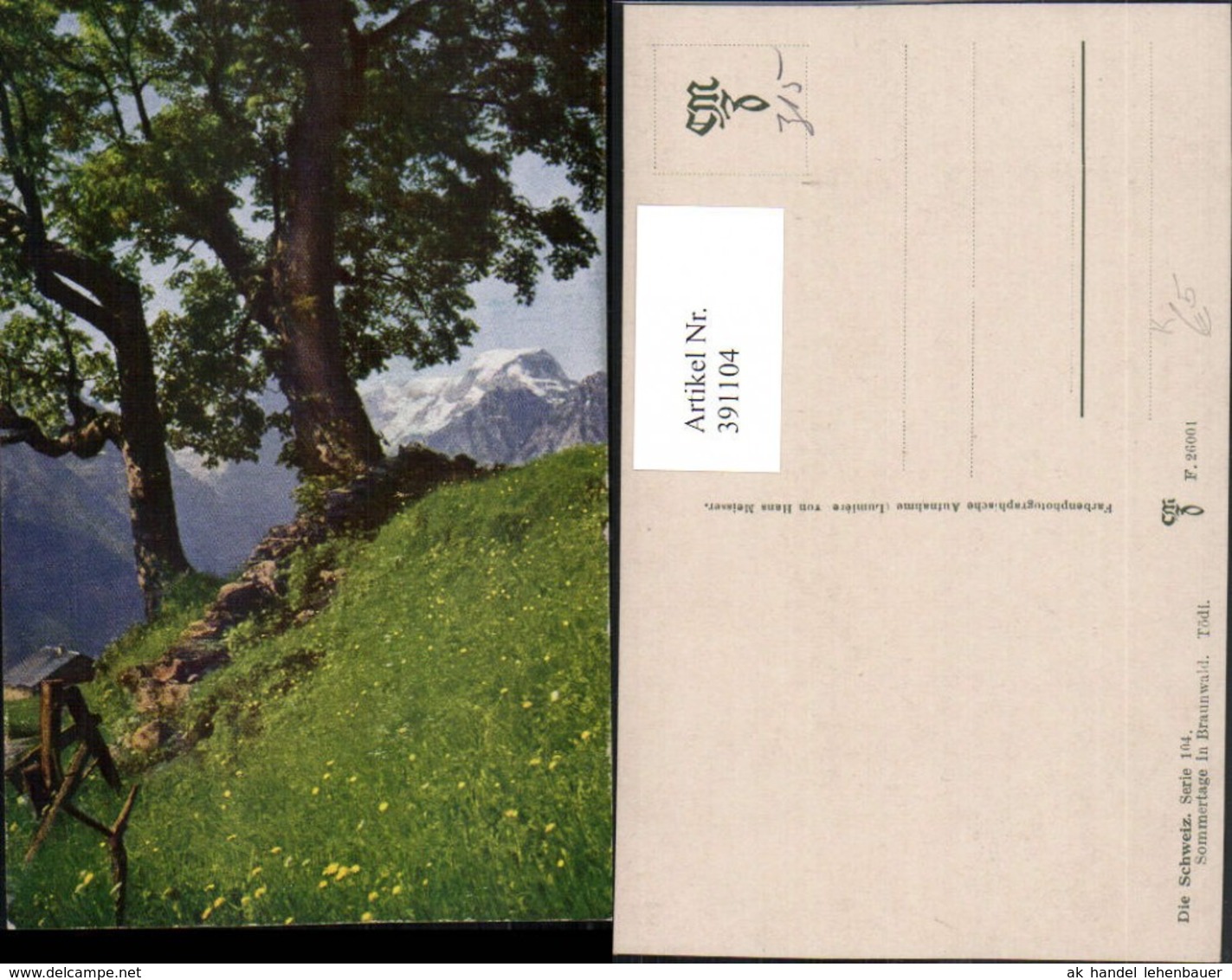 391104,K&uuml;nstler AK Sommertage Im Braunwald B&auml;ume Bergkulisse Kt Glarus - Braunwald