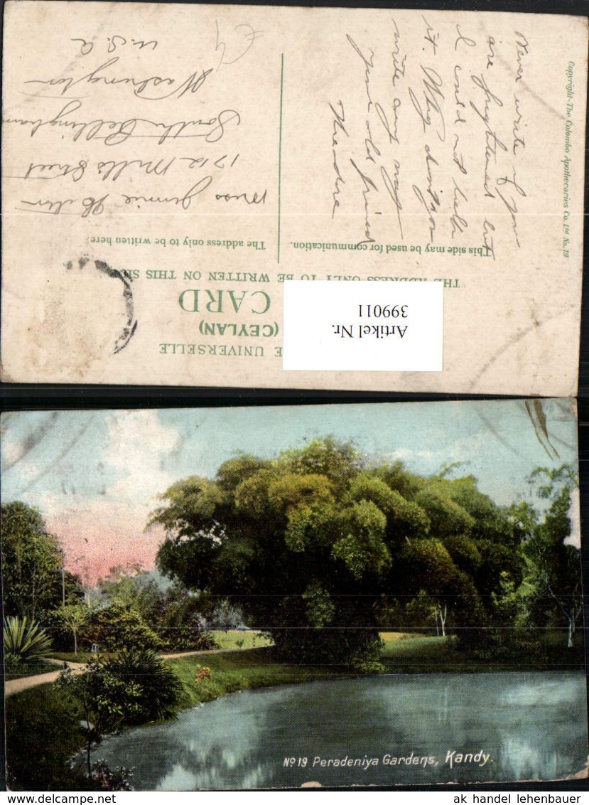 399011,Ceylon Sri Lanka Kandy Peradeniya Gardens Garten - Sri Lanka (Ceylon)