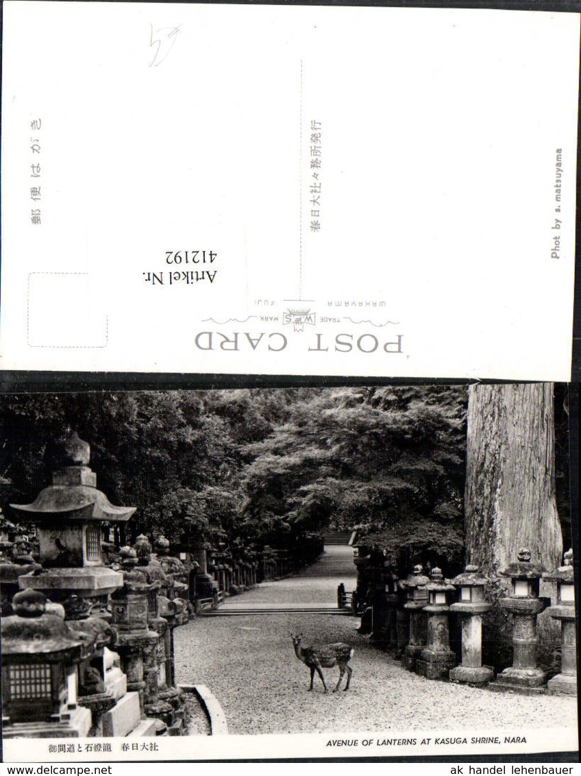 412192,Japan Nara Kasuga Shrine Avenue Of Lanterns Laternen Reh - Sonstige & Ohne Zuordnung