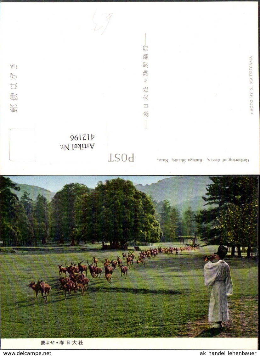 412196,Japan Nara Kasuga Shrine Gathering Of Deers Wild Rehe - Sonstige & Ohne Zuordnung