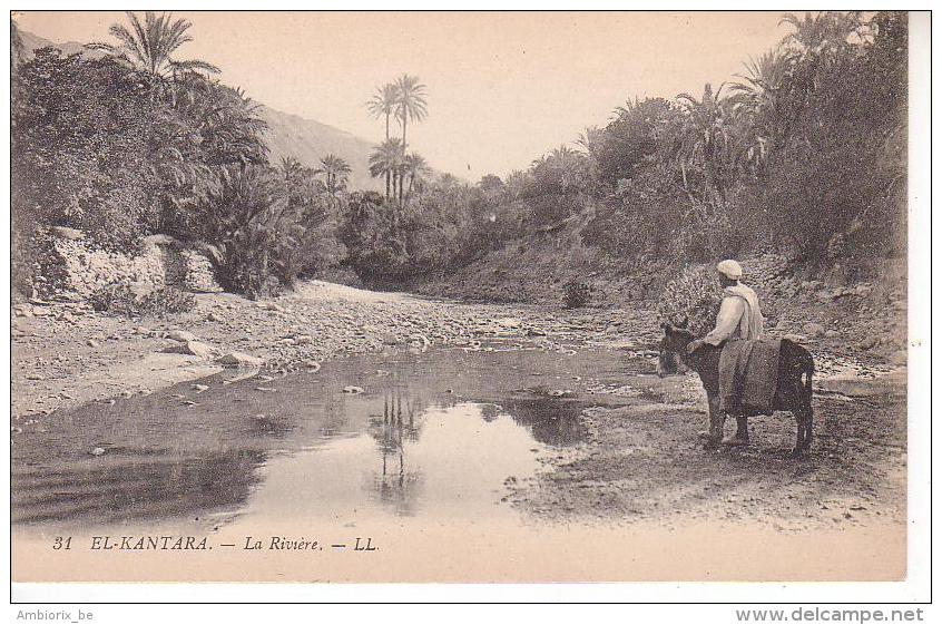 31 El-Kantara - La Rivière - LL - Constantine