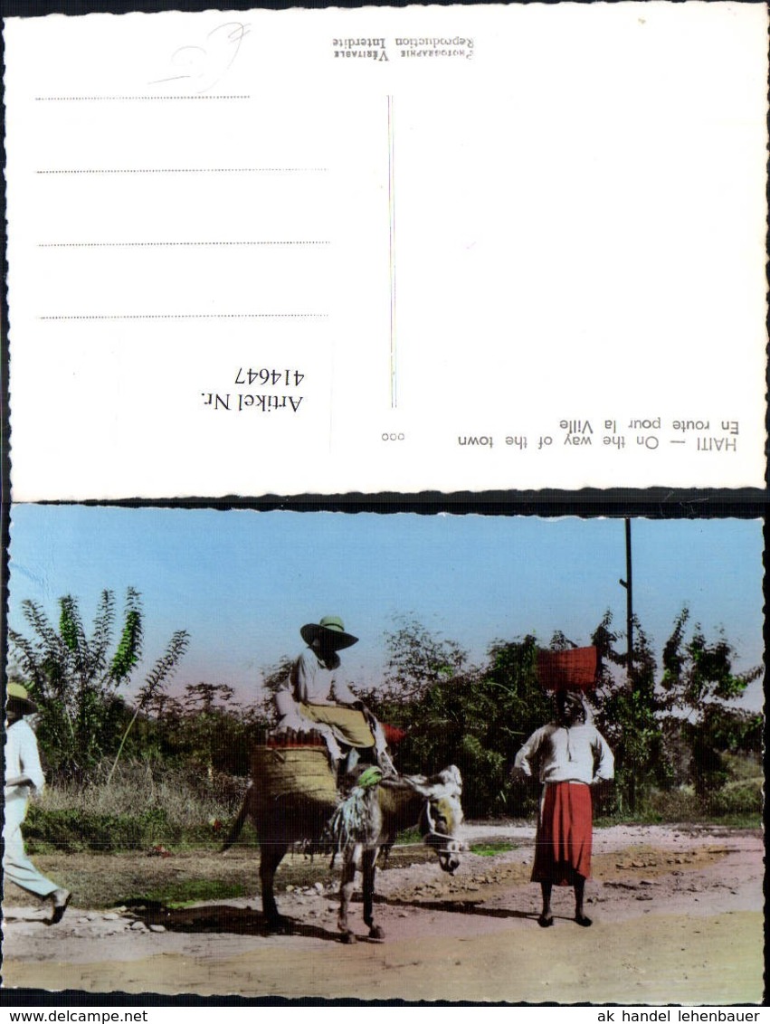 414647,Haiti On The Way Of The Town Typen Esel K&ouml;rbe Volkstypen Amerika - Amerika