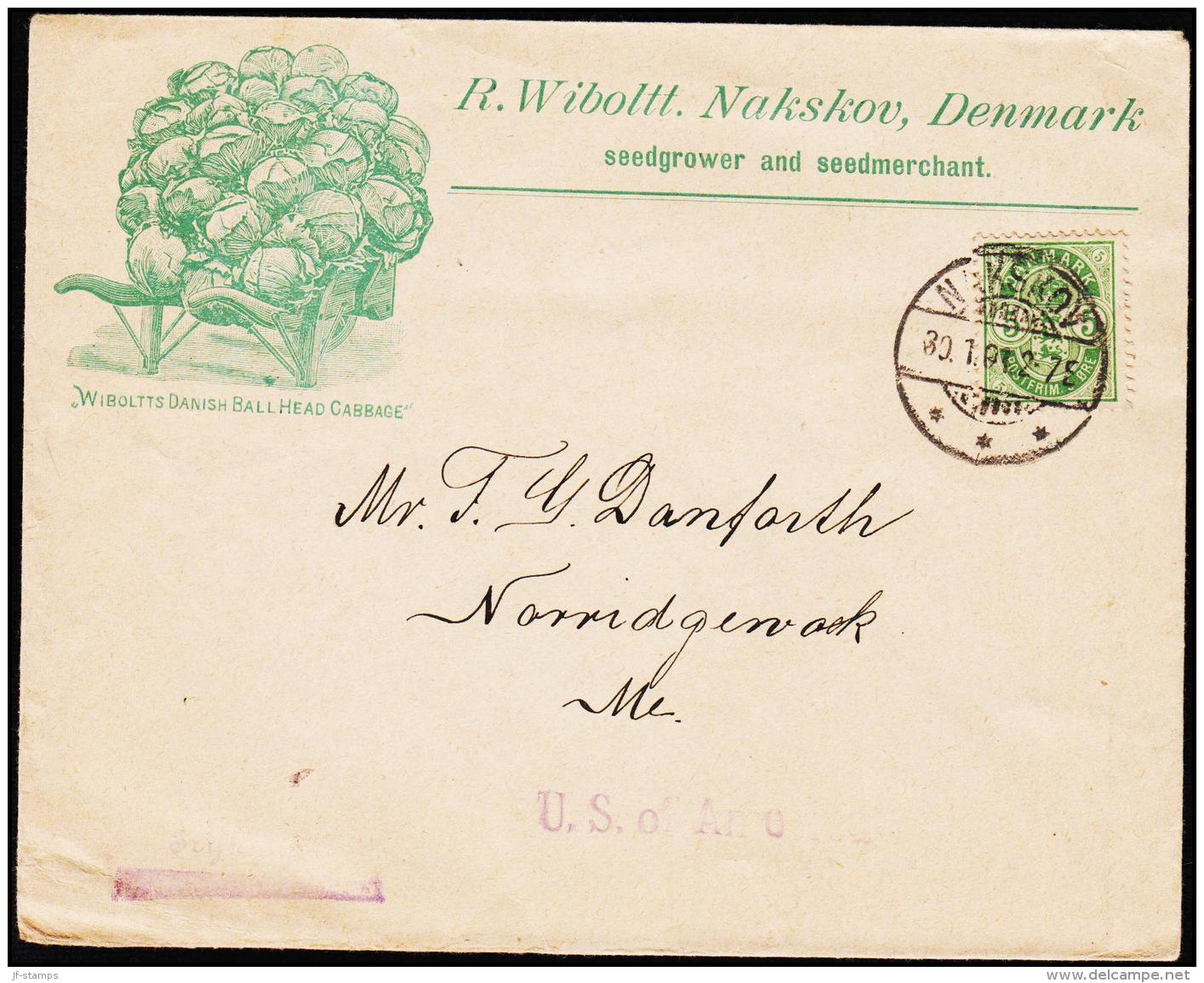 1901. 5 øre NAKSKOV 30.1.01. Reklame WIBOLTTS DANISH BALL HEAD CABBAGE. To USA.  (Michel: ) - JF194842 - Briefe U. Dokumente