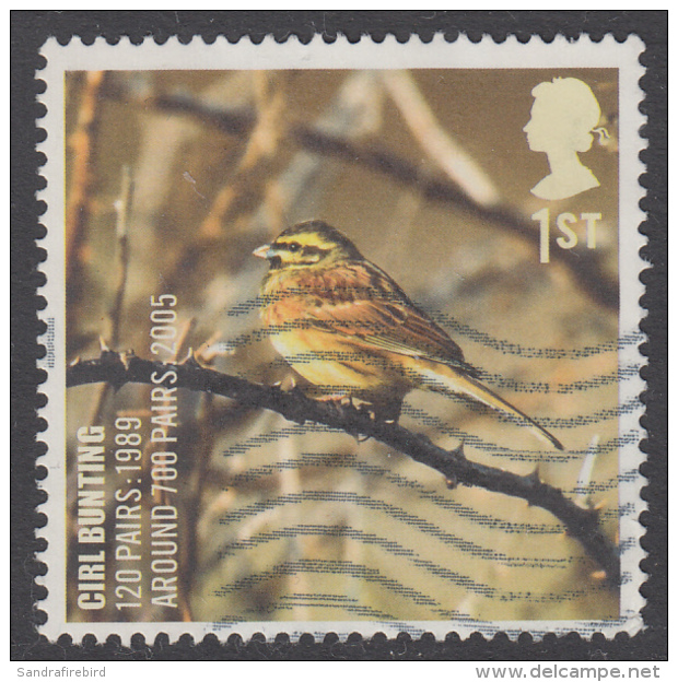 GREAT BRITAIN - 2007 Action For Species - Birds - Cirl Bunting  1st SG2767 Fine Used - Used Stamps