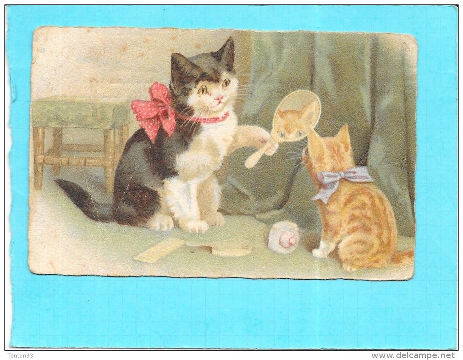 CPA COLORISEE FANTAISIE  -  Deux Adorables Chatons Se Mirant R  - ENCH0616 - - Dressed Animals