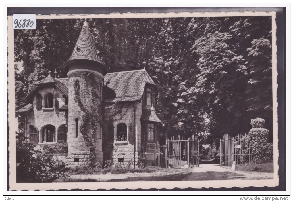 CELIGNY - CHATEAU DE BOSSEY - TB - Céligny