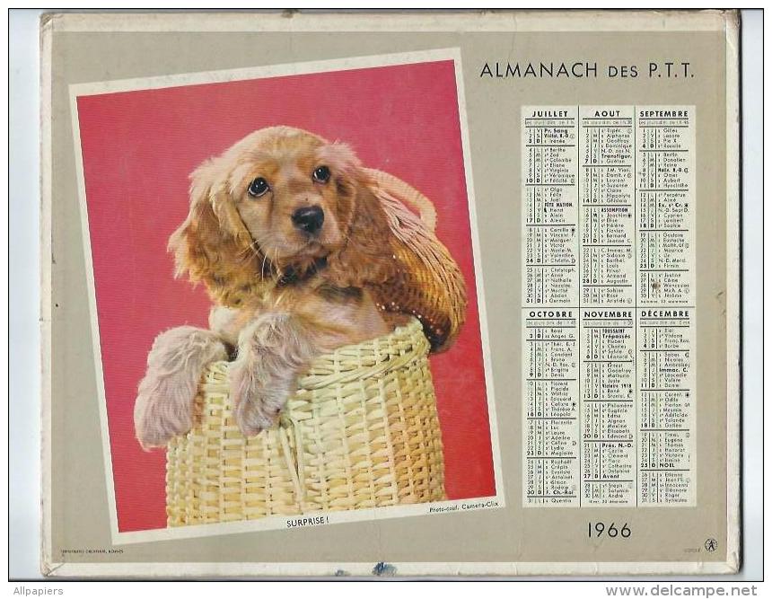 Calendrier Almanach Des P.T.T De 1966 Photos Pose D'un Châton Et  Surprise D'un Chiot Cocker - Incomplet Les Cartes - Grand Format : 1961-70