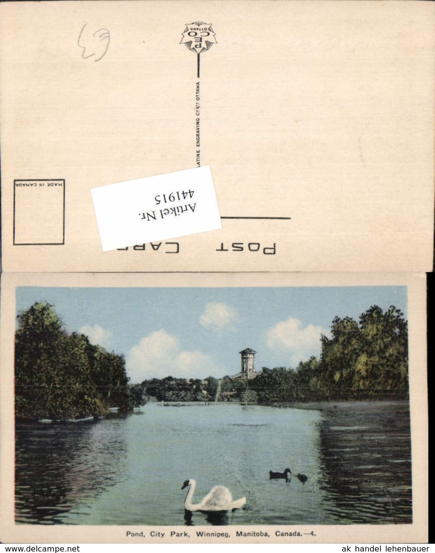 441915,Manitoba Winnipeg City Park Pond Teich Schwan - Andere & Zonder Classificatie