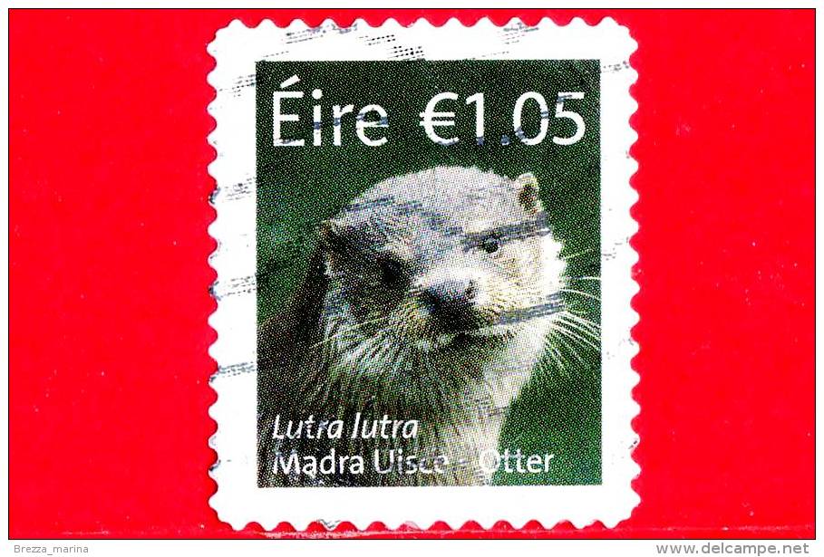 IRLANDA - EIRE - Usato - 2015 - Fauna - Lutra Lutra - Madra Uisce - European Otter - 10.5 - Usati