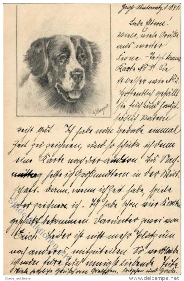 Handgemalt Sign. Wagner, G. Hund Ganzsache Künstlerkarte I-II Peint à La Main Chien - Unclassified