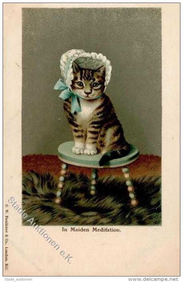 Katze Personifiziert  Künstlerkarte I-II Chat - Cats