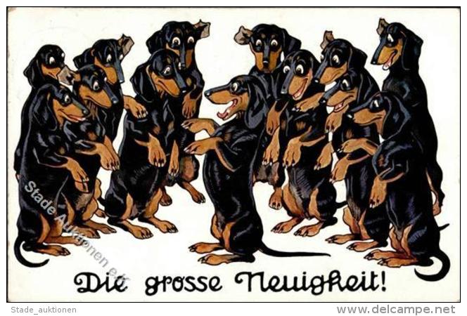 Dackel Die Grosse Neuigkeit Künstlerkarte 1914 I-II - Dogs