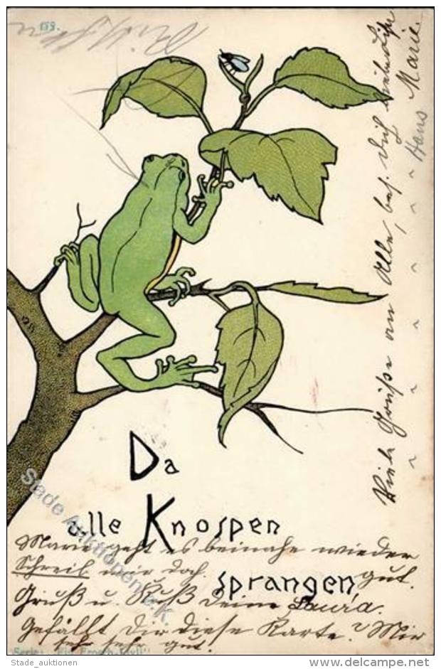 Frosch Fliege  Lithographie 1904 I-II Grenouille - Unclassified