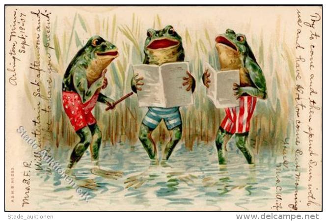 Frosch Personifiziert Lithographie 1907 I-II Grenouille - Unclassified