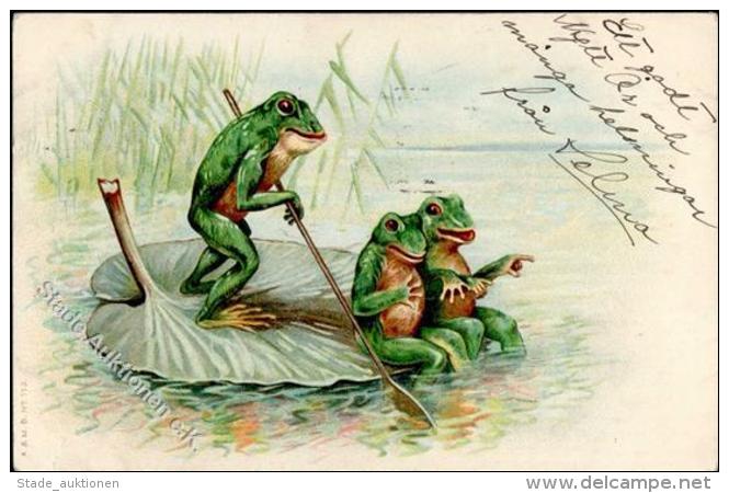 Frosch Personifiziert Lithographie 1907 I-II Grenouille - Unclassified