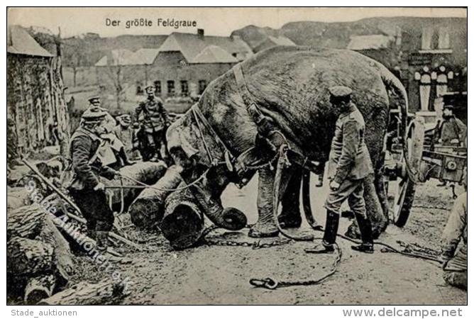 WK I Elefant Der Größte Feldgraue I-II - Unclassified