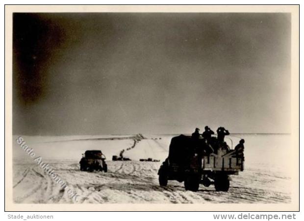 SS Panzer Div. Das Reich WK II Foto AK I-II Réservoir - Unclassified