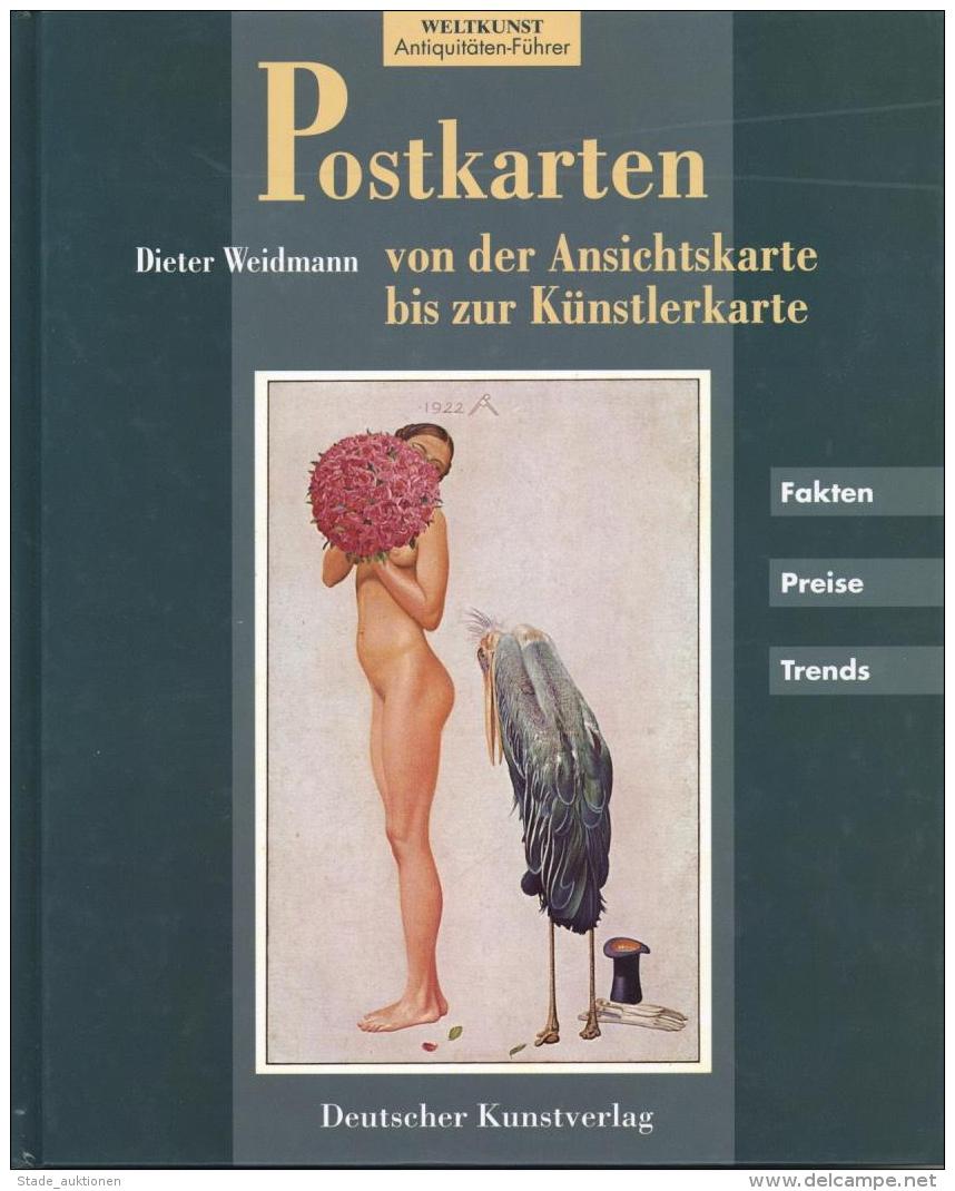 AK-Geschichte Buch Postkarten Von Der Ansichtskarte Bis Zur Künstler-Karte Weidmann, Dieter 1996 Deutscher Kunstver - Unclassified