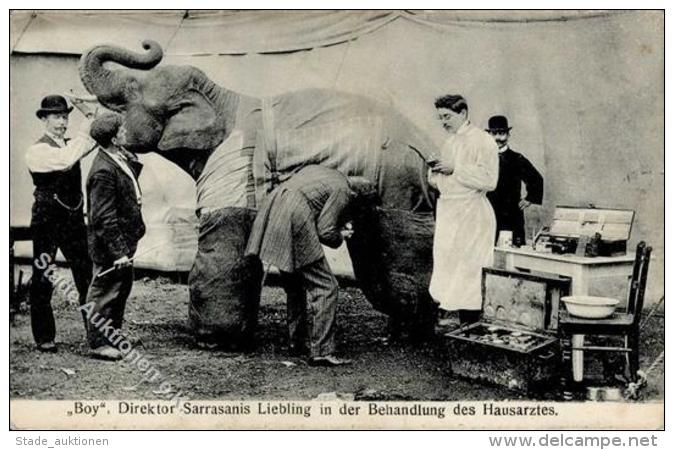 Zirkus Sarrasani Elefant In Behandlung I-II - Circus