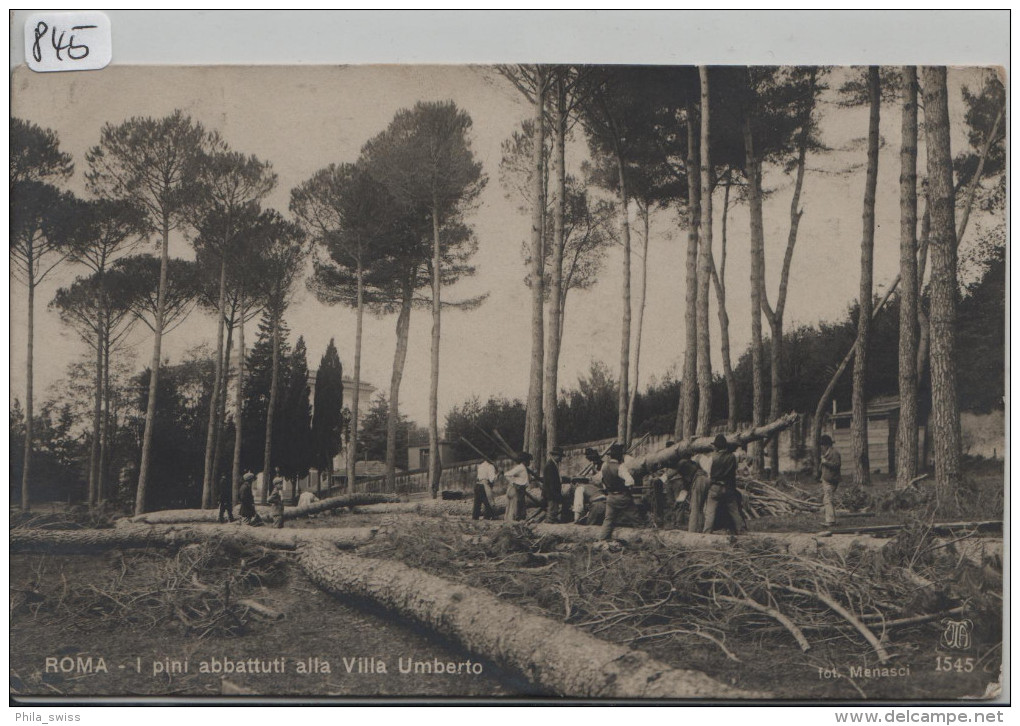 Roma - I Pini Abbattuti Alla Villa Umberto - Holzfäller - Parcs & Jardins