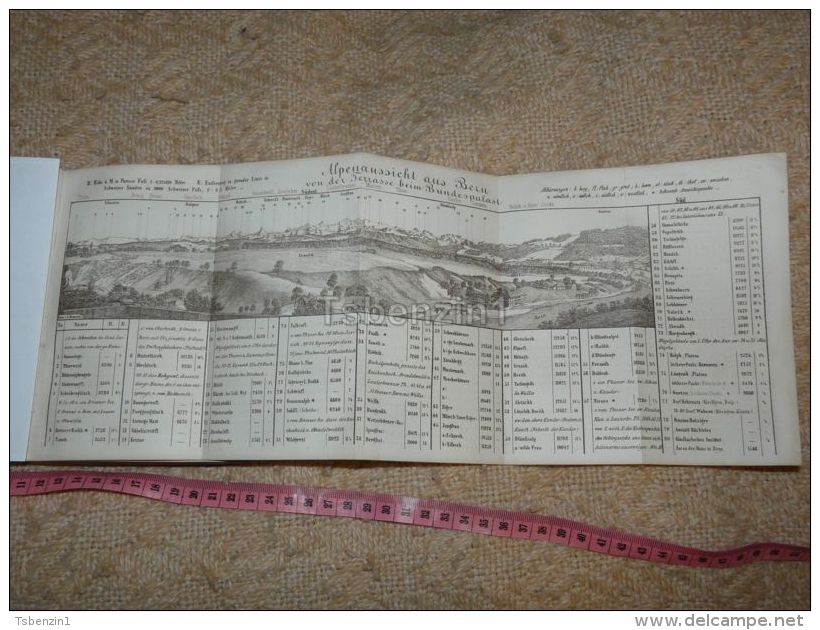 Alpenaussicht Aus Bern Bundespalast Map Karte Suisse Switzerland Suisse 1867 - Landkarten