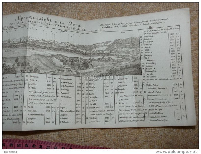 Alpenaussicht Aus Bern Bundespalast Map Karte Suisse Switzerland Suisse 1867 - Cartes Géographiques