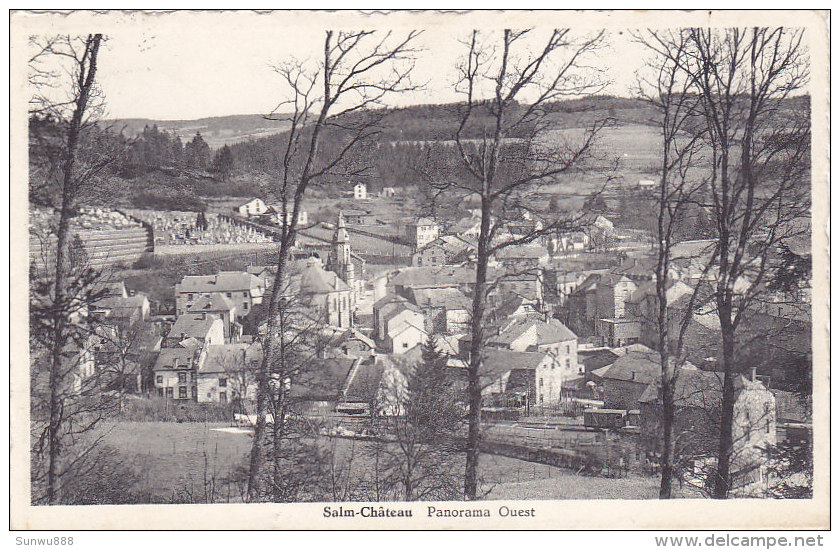 Salm-Château - Panorama Ouest (Edition Studiart) - Vielsalm