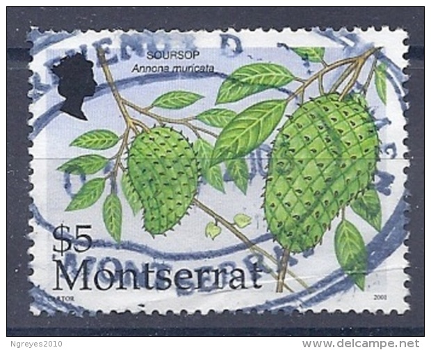 150025534  MONTSERRAT  YVERT    Nº  1062 - Montserrat